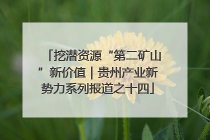 挖潜资源“第二矿山”新价值｜贵州产业新势力系列报道之十四